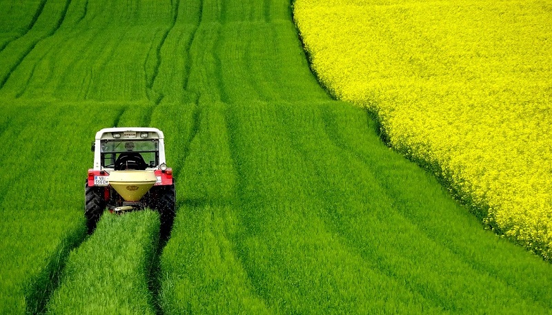 agricoltura